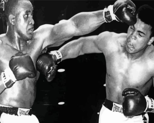 Black And White Cassius Clay Vs Sonny Liston Paint By Numbers