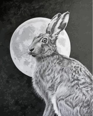 Black And White Hare Moon Paint By Numbers