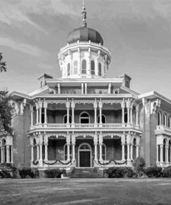 Black And White Natchez Longwood Paint By Numbers