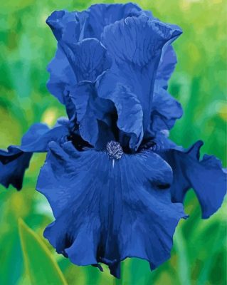 Bloom Blue Irises Flower Paint By Numbers