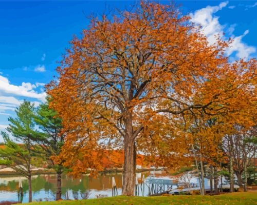 Boothbay Maine Fall Paint By Numbers