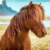 Brown Icelandic Pony Paint By Numbers