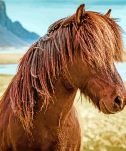 Brown Icelandic Pony Paint By Numbers
