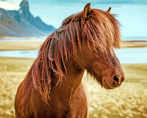 Brown Icelandic Pony Paint By Numbers