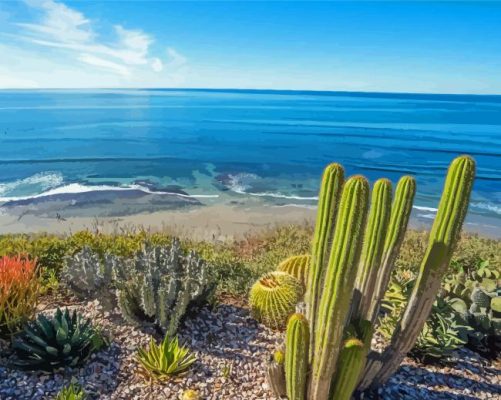 California Encinitas Beach Paint By Numbers