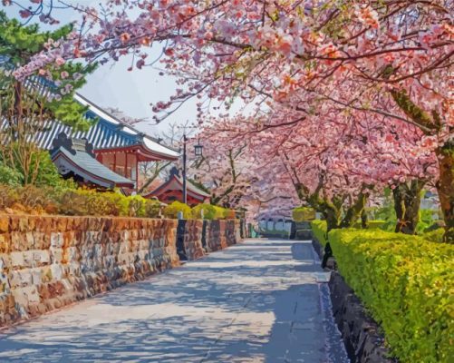 Cherry Blossom Trees In Shizuoka City Paint By Numbers