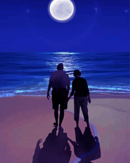 Couple Walking On The Beach Silhouette Paint By Numbers