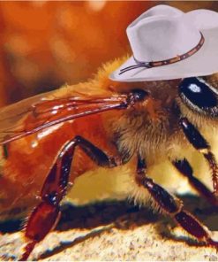 Cowboy Bee Paint By Numbers
