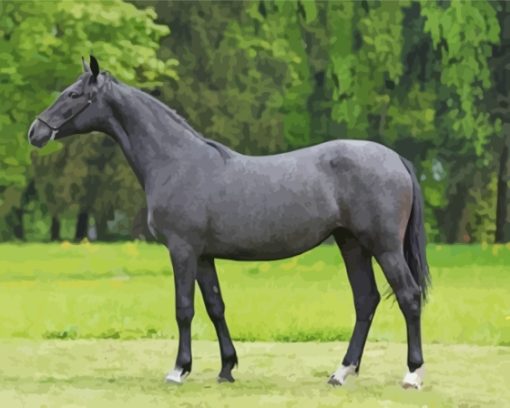 Dark Grey Horse Paint By Numbers