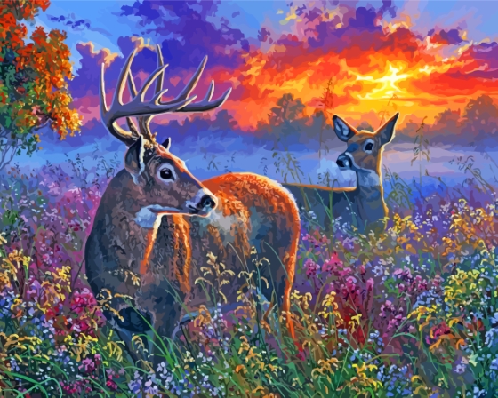 Deer Couple At Sunset Paint By Numbers
