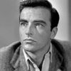 Edward Montgomery Clift Actor Paint By Numbers