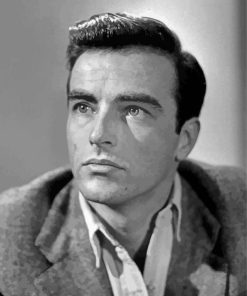 Edward Montgomery Clift Actor Paint By Numbers