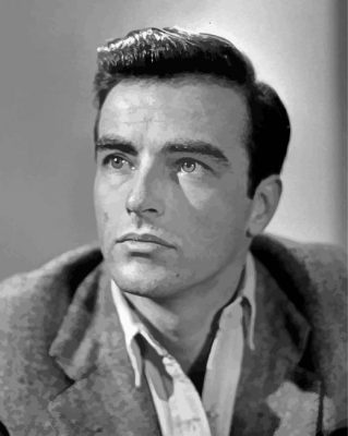 Edward Montgomery Clift Actor Paint By Numbers