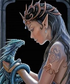 Elf And Dragon Paint By Numbers