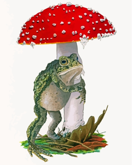 Frog And Mushroom Paint By Numbers