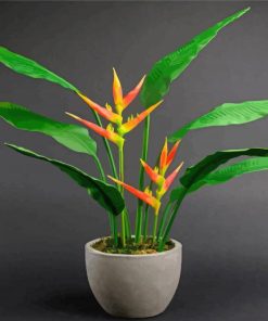 Heliconia Plant Paint By Numbers