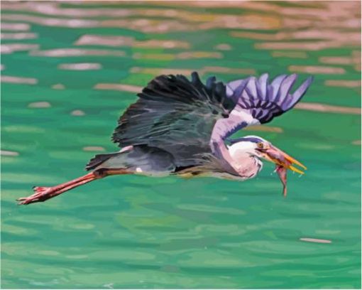 Heron And Fish Paint By Numbers
