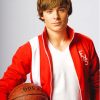 High School Musical Troy Bolton Paint By Numbers
