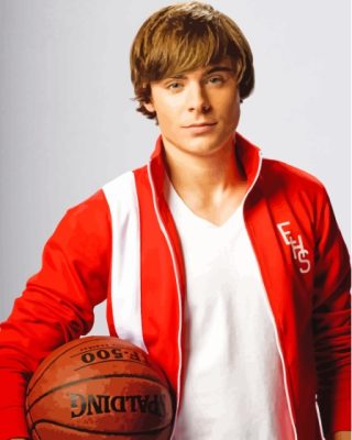 High School Musical Troy Bolton Paint By Numbers