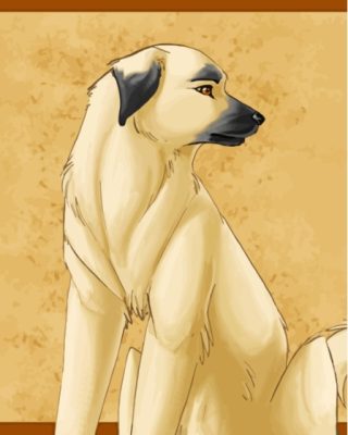 Anatolian Shepherd Dog Paint By Numbers