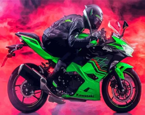 Kawasaki Ninja Driver Paint By Numbers