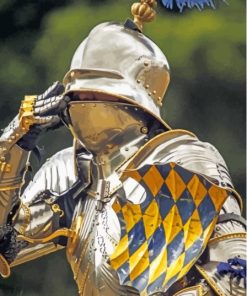 Knights Jousting Paint By Numbers