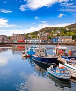 Marina Tarbert Harbour In The UK Paint By Numbers