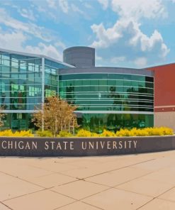 Michigan State University Paint By Numbers