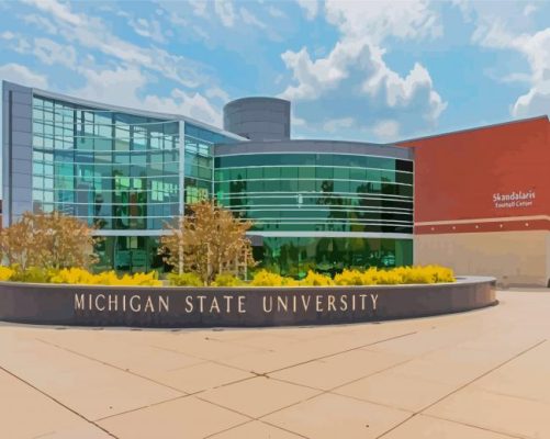 Michigan State University Paint By Numbers