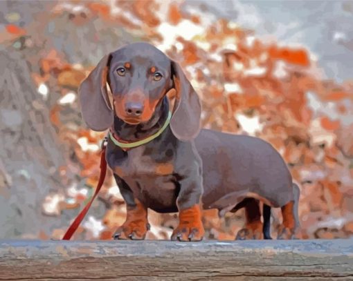 Miniture Dashund Dog Paint By Numbers