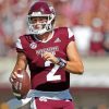 Mississippi State Bulldogs Football Player Paint By Numbers