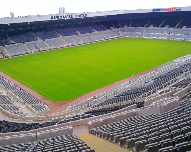 Newcastle Stadium Paint By Numbers
