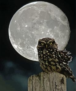 Owl Moonlight Paint By Numbers