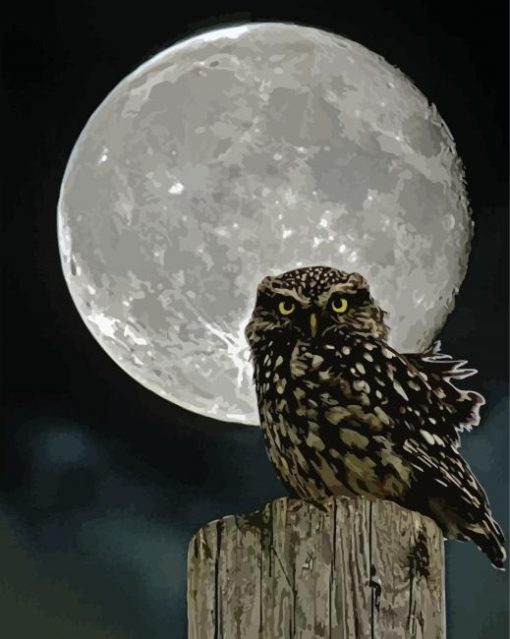 Owl Moonlight Paint By Numbers