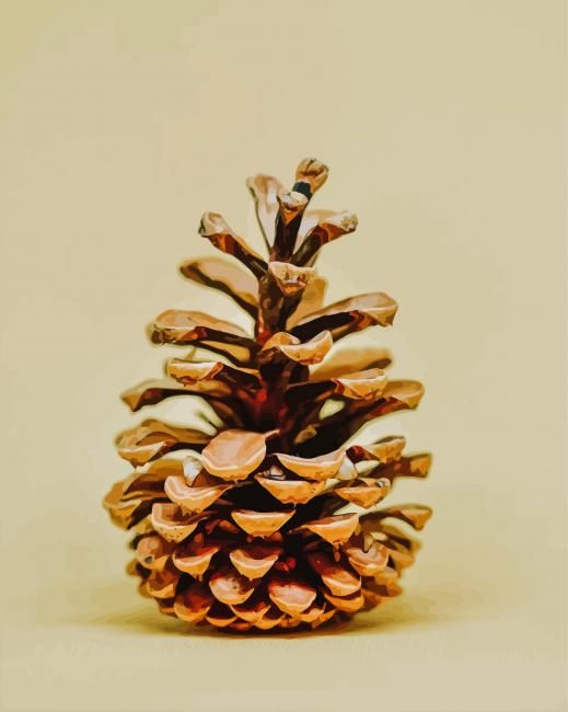 Pinecone Photography Paint By Numbers