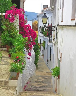 Pink Flowers Frigiliana Spain Paint By Numbers