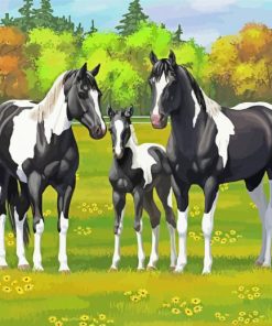 Pinto Horse Family Paint By Numbers