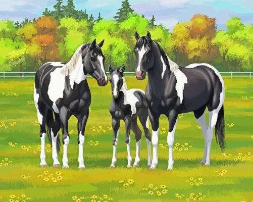 Pinto Horse Family Paint By Numbers