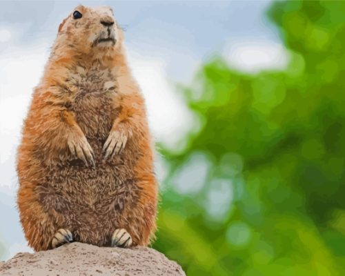 Prairie Dog Paint By Numbers