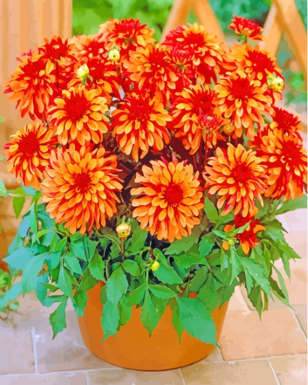 Red Orange Dahlia Pot Paint By Numbers