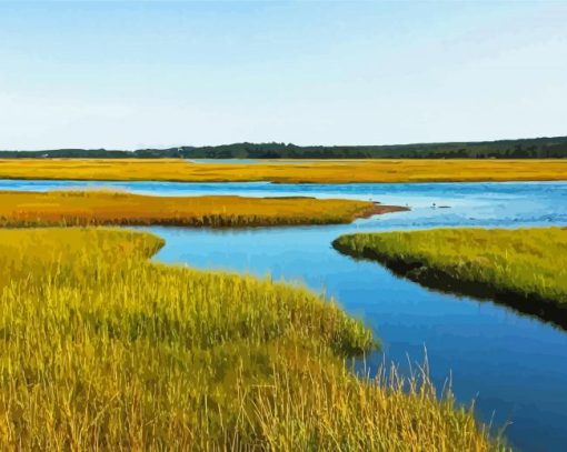 Salt Marsh In Massachusetts Paint By Numbers