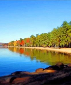 Sebago Lake State Park Maine Paint By Numbers