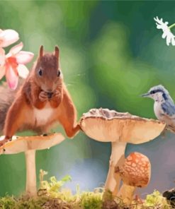 Squirrel And Bird Paint By Numbers