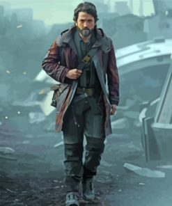 Star Wars Cassian Andor Paint By Numbers