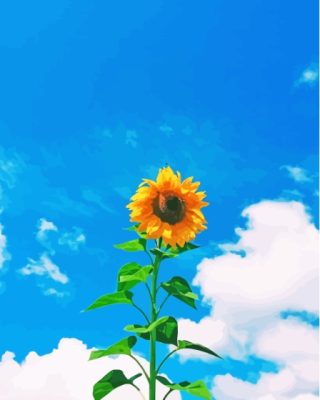 Sunflower With Blue Sky Paint By Numbers