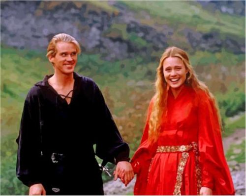 The Princess Bride Paint By Numbers