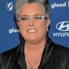 The Television Producer Rosie Odonnell Paint By Numbers