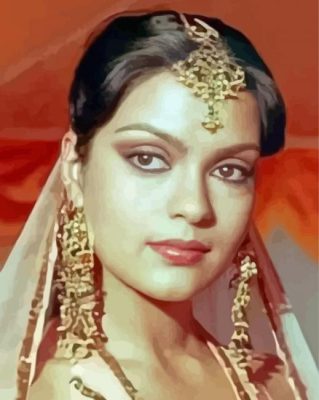 Zeenat Aman Paint By Numbers