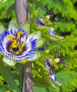Aesthetic Blue Passion Flower Paint By Numbers