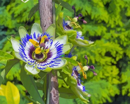 Aesthetic Blue Passion Flower Paint By Numbers